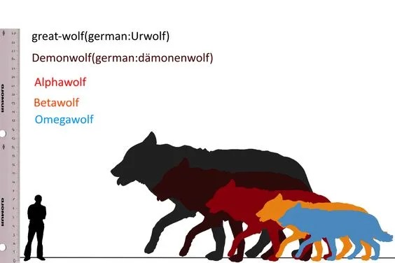 Height comparison tool illustration