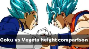 Vegeta Vs Goku Height Comparison